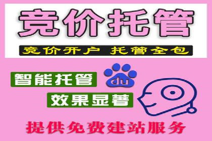 案例教学：SEM竞价助力电商营销
